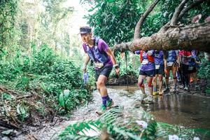 BIB: 
                            <button type="button" onclick="openModal(25474734)" class="btn btn-primary btn-sm float-right btn-popup" data-toggle="modal" data-target=".modal-high-quality">
                        <i class="fas fa-shopping-cart"></i> Add to Cart
                    </button>
                                            <button type="button" onclick="isThisMe(25474734, true)" class="btn btn-success btn-sm float-right btn-popup btn-isme hidden" data-toggle="tooltip" data-placement="bottom" title="นี่คือรูปของคุณใช่ไหม คลิกที่นี่เพื่อเอาเข้าอัลบั้ม">
                        <i class="fas fa-plus"></i> Add to album
                    </button>
                    <button type="button" onclick="isThisMe(25474734, false)" class="btn btn-warning btn-sm float-right btn-popup btn-isnotme hidden">
                        <i class="fas fa-ban"></i> Remove from album
                    </button>